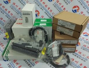 解密56952與301aa 電子編碼中的隱秘世界